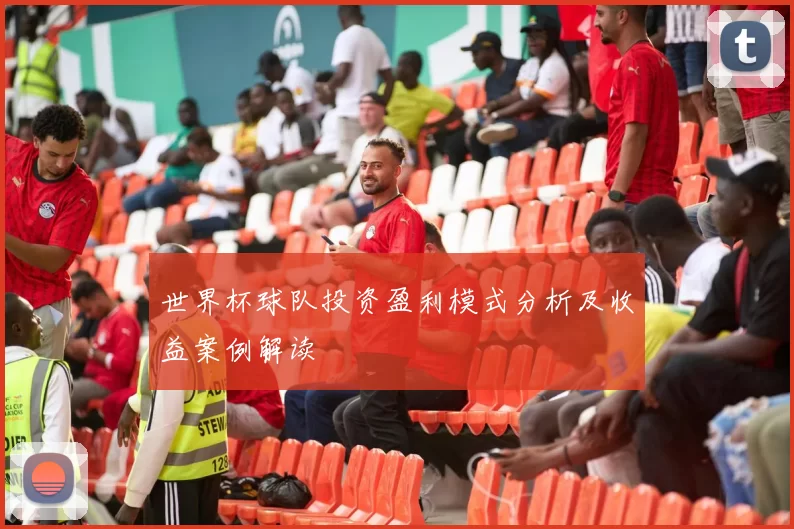 世界杯球队投资盈利模式分析及收益案例解读