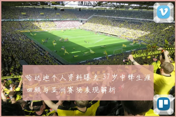 哈达迪个人资料曝光 37岁中锋生涯回顾与亚洲赛场表现解析