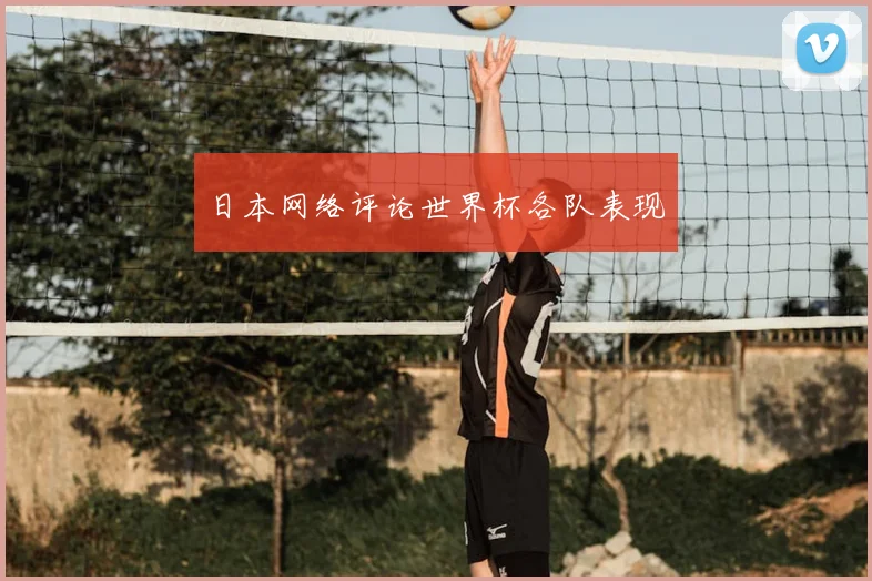 日本网络评论世界杯各队表现