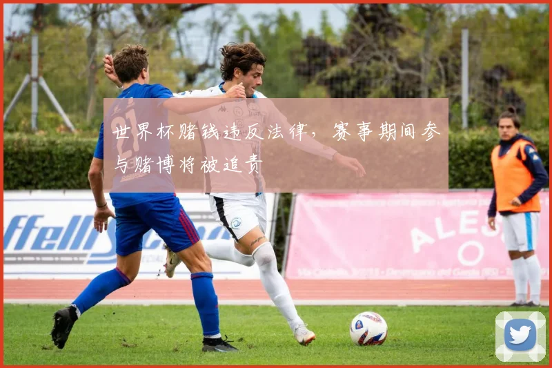 世界杯赌钱违反法律,赛事期间参与赌博将被追责