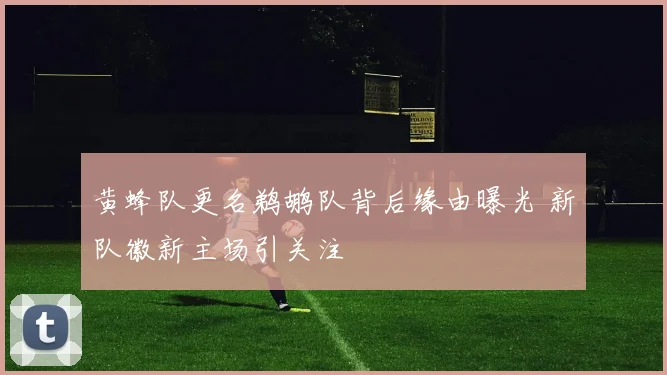 黄蜂队更名鹈鹕队背后缘由曝光 新队徽新主场引关注