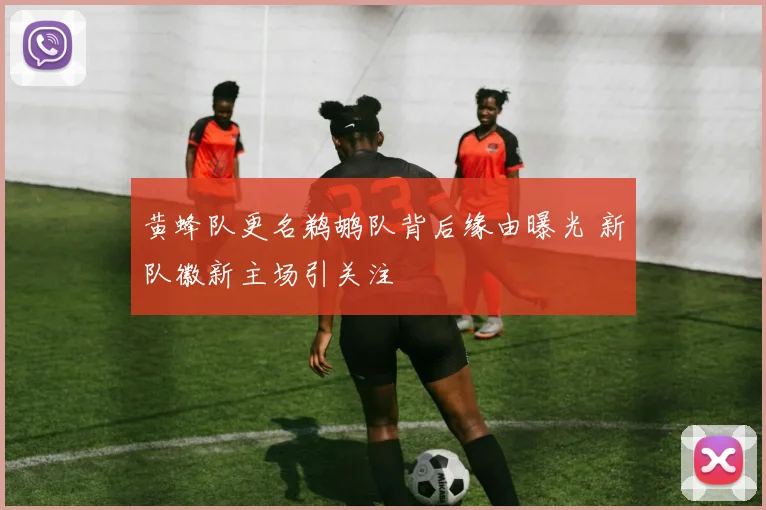 黄蜂队更名鹈鹕队背后缘由曝光 新队徽新主场引关注