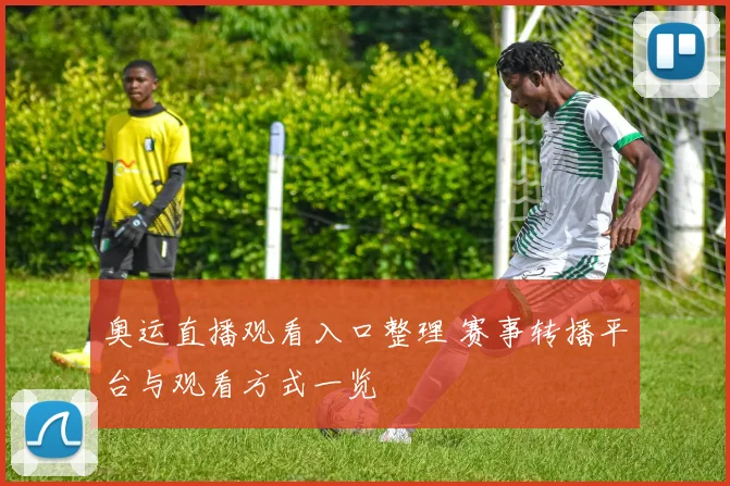 奥运直播观看入口整理 赛事转播平台与观看方式一览