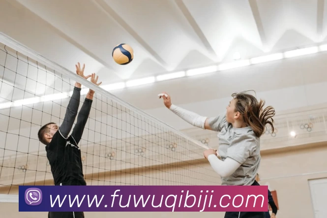 星空体育官方网平台生态图